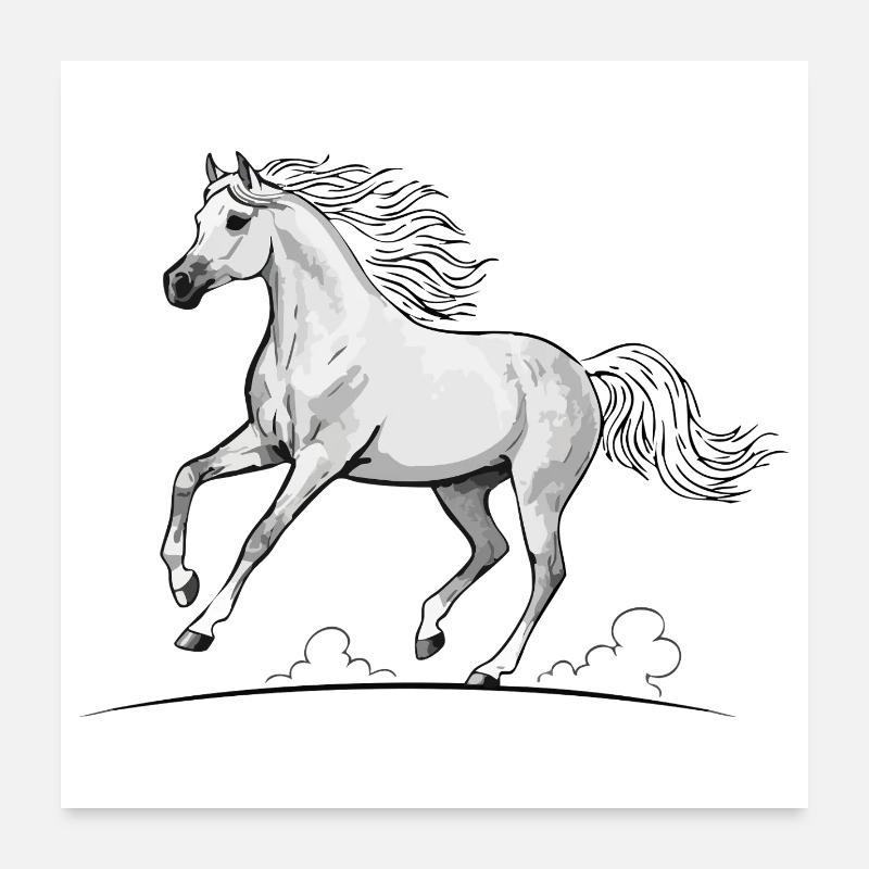 White Horse Thoroughbred Trotting Equestrian Elegance Poster 24" x 24" (60x60 cm)