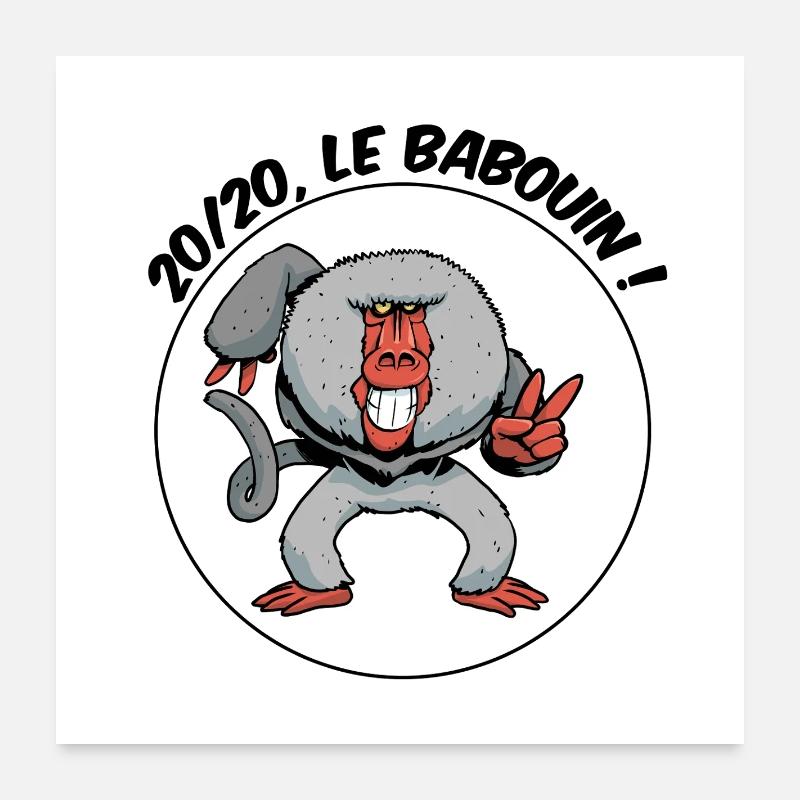 20/20, le babouin ! Poster 60 x 60 cm