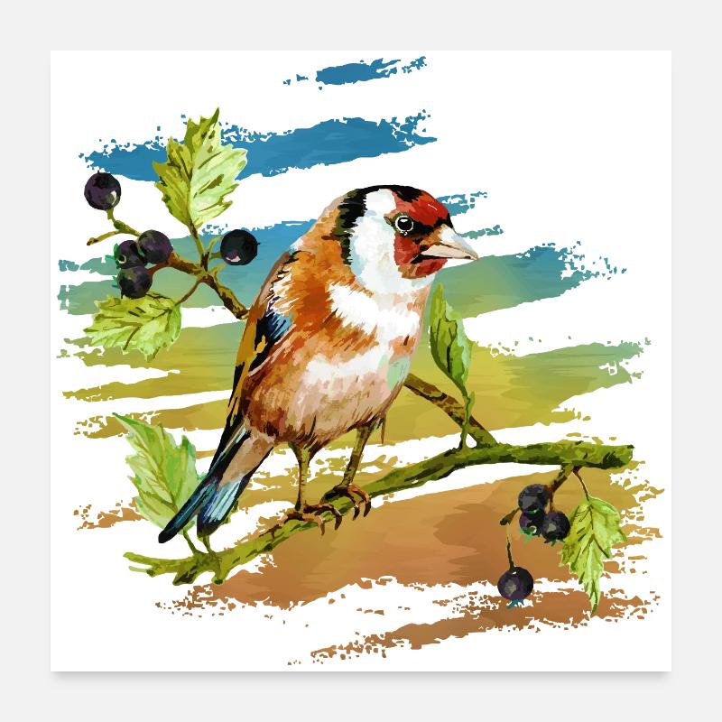 Oiseau coloré Poster 60 x 60 cm