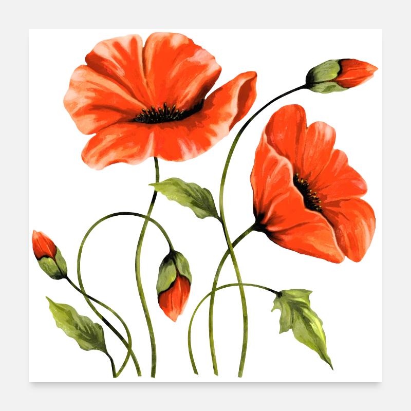 Blumen Poster 60x60 cm