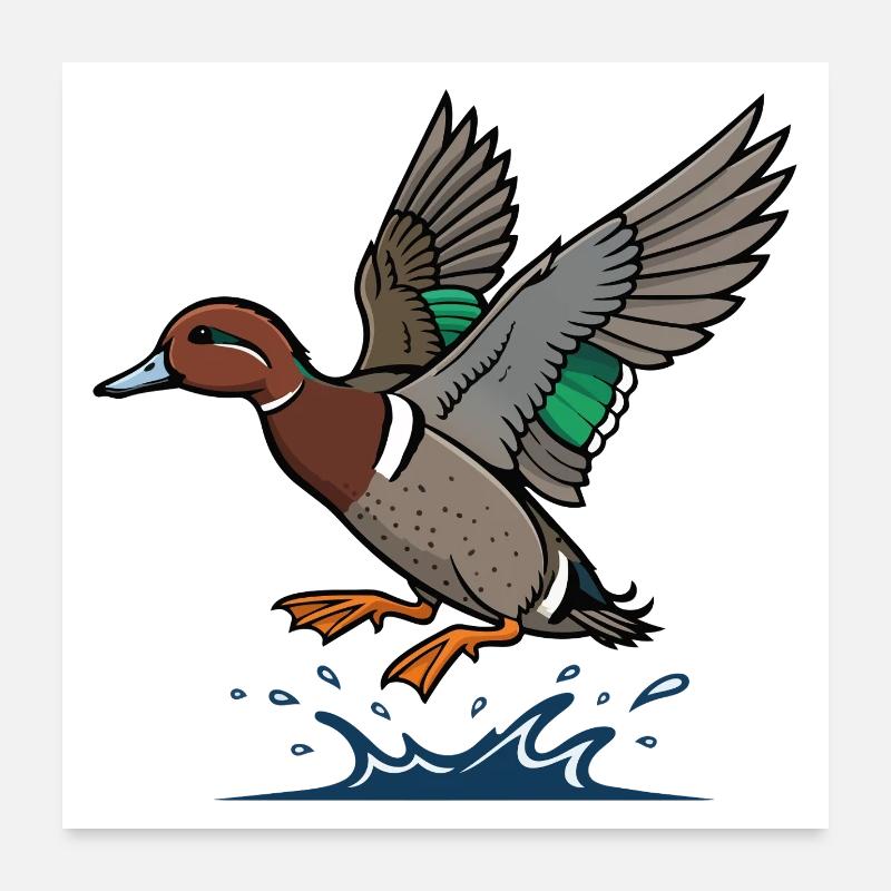 Mallard In Flight Wild Nature Pond Poster 24" x 24" (60x60 cm)