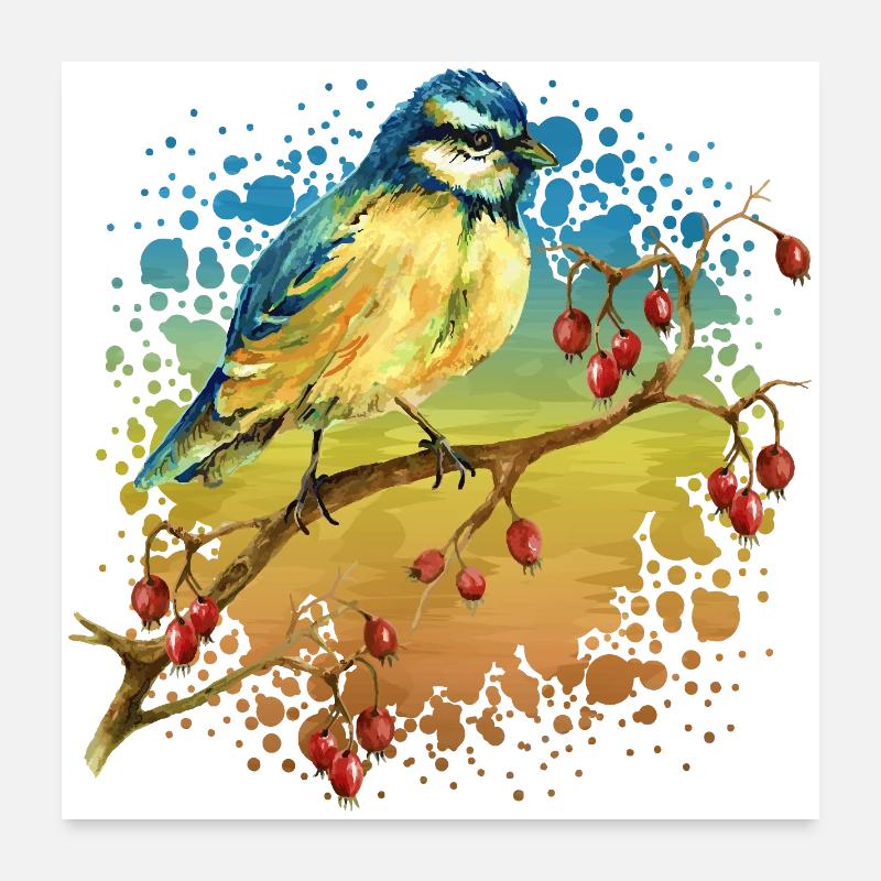 Oiseau coloré Poster 60 x 60 cm