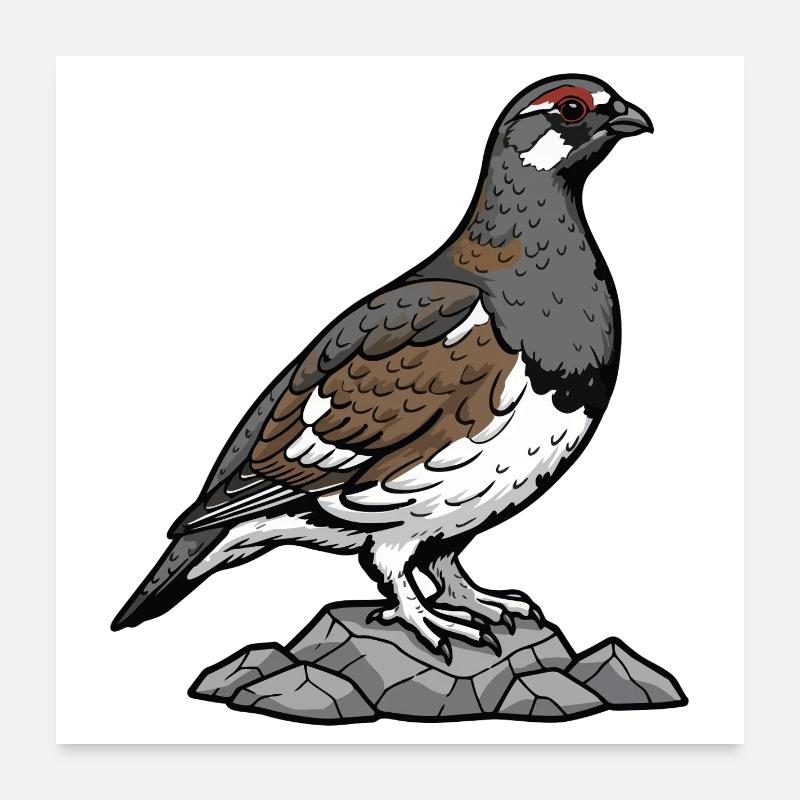 Perdrix Rouge Nature Oiseau Red-legged Partridge Poster 60 x 60 cm