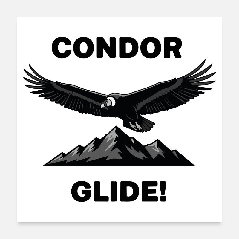 Anden-Kondor-Gleitflug Schwarzer Condor Poster 60x60 cm