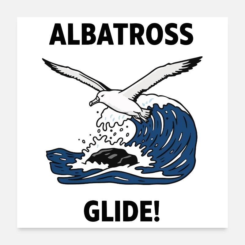 Albatros, Heuler, Seegleit-Albatros Poster 60x60 cm