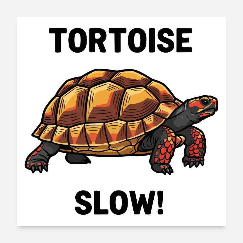 Carbonaria Tortoise Slow Reptile Turtle Poster 24" x 24" (60x60 cm)