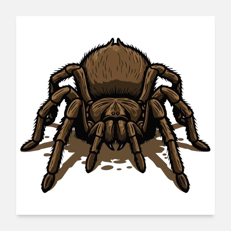Tarantula, Tarantula-Crawl Tattoo Tarantula-Spinne Poster 60x60 cm