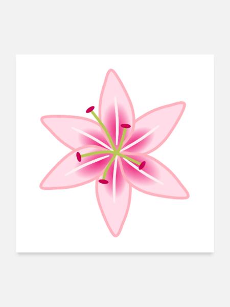 Rosa Lilien-Blumenillustration - Poster 60x60 cm - Weiß