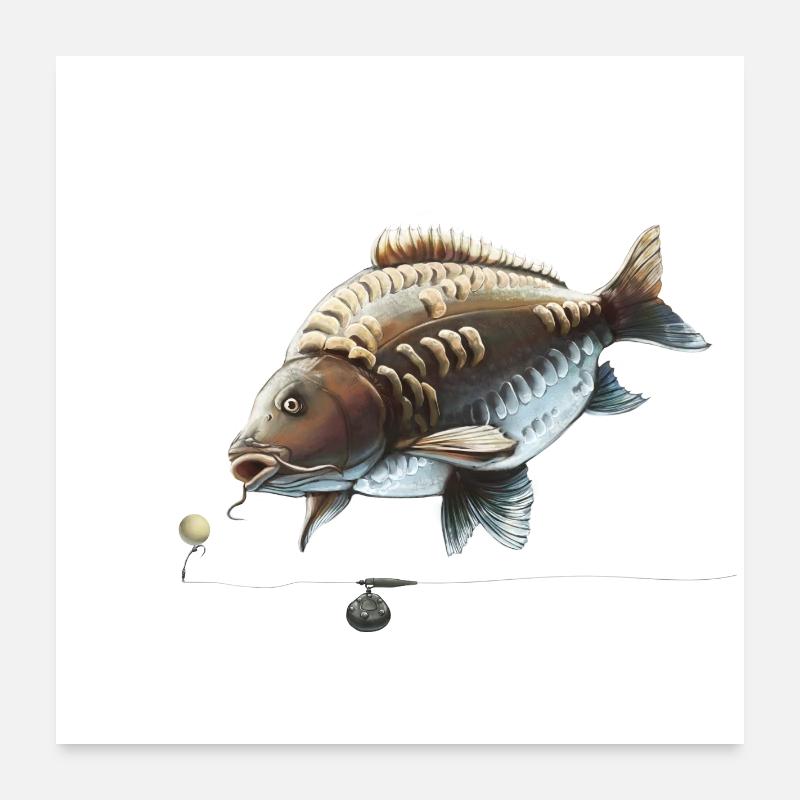 Karpfenfischen Ronnie Rig Spiegelkarpfen-Design - Poster 60x60 cm - Weiß