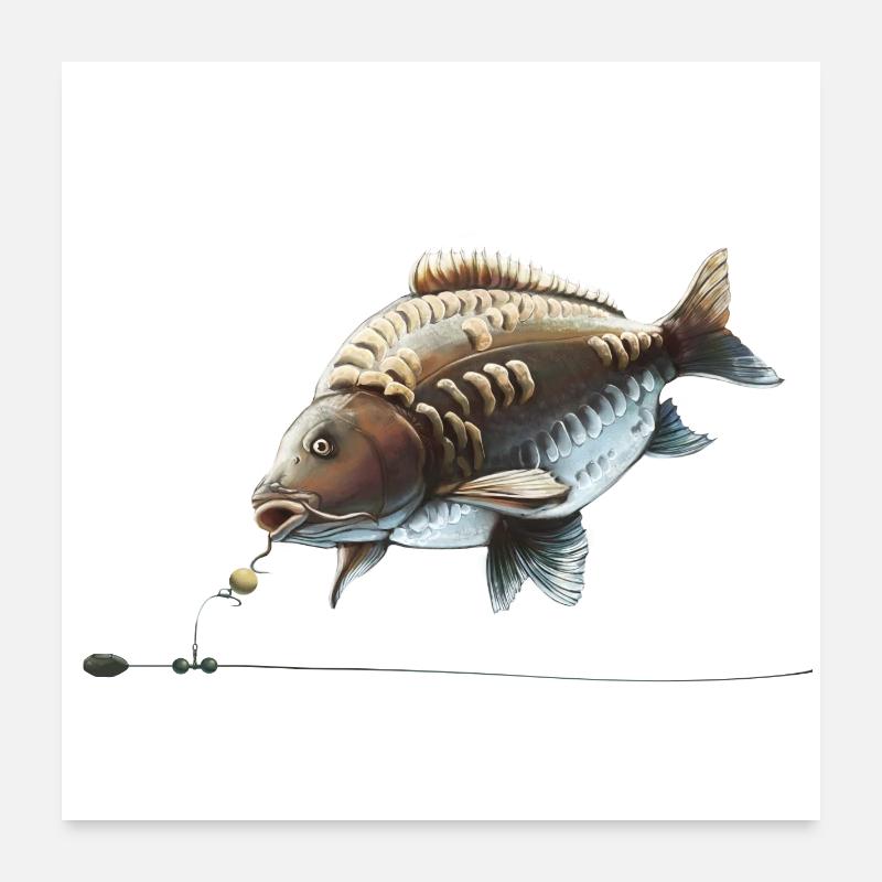 Conception de la pêche à la carpe Chod Rig pour les pêcheurs Poster 60 x 60 cm
