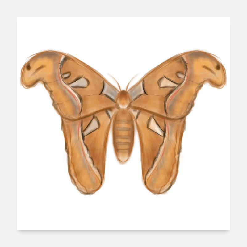 Mite Poster 60 x 60 cm