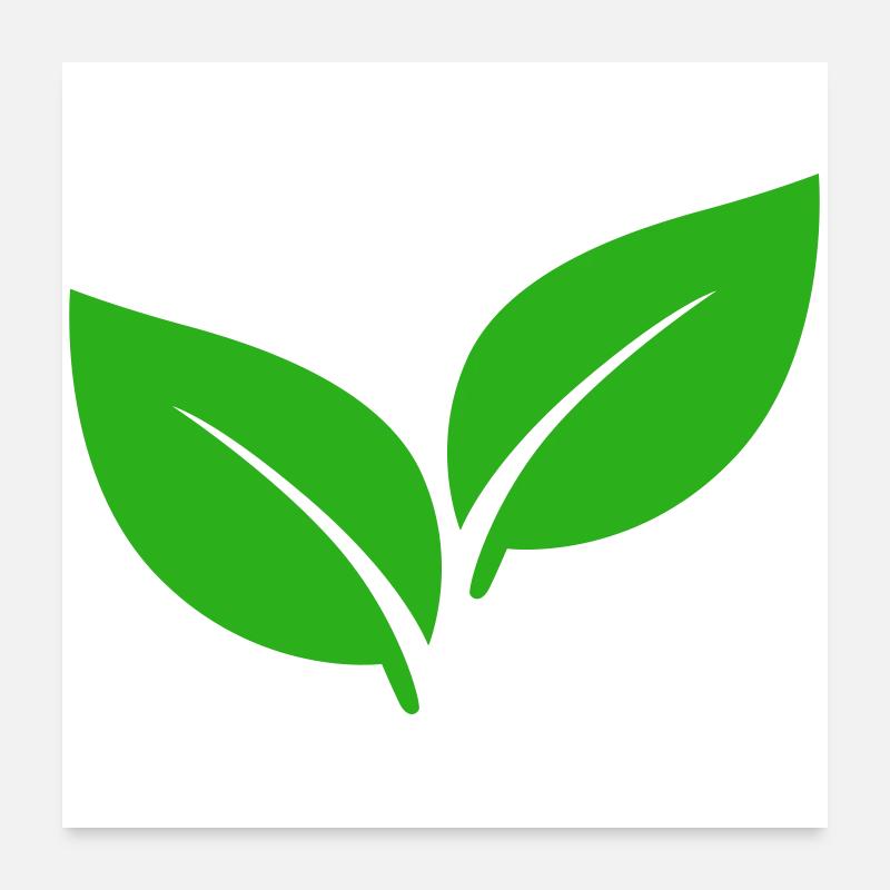 Illustration de feuilles vertes Poster 60 x 60 cm