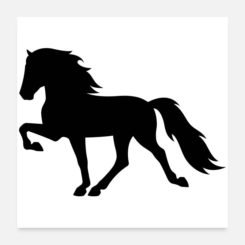 Tölter Cheval islandais - Poster 60 x 60 cm - blanc