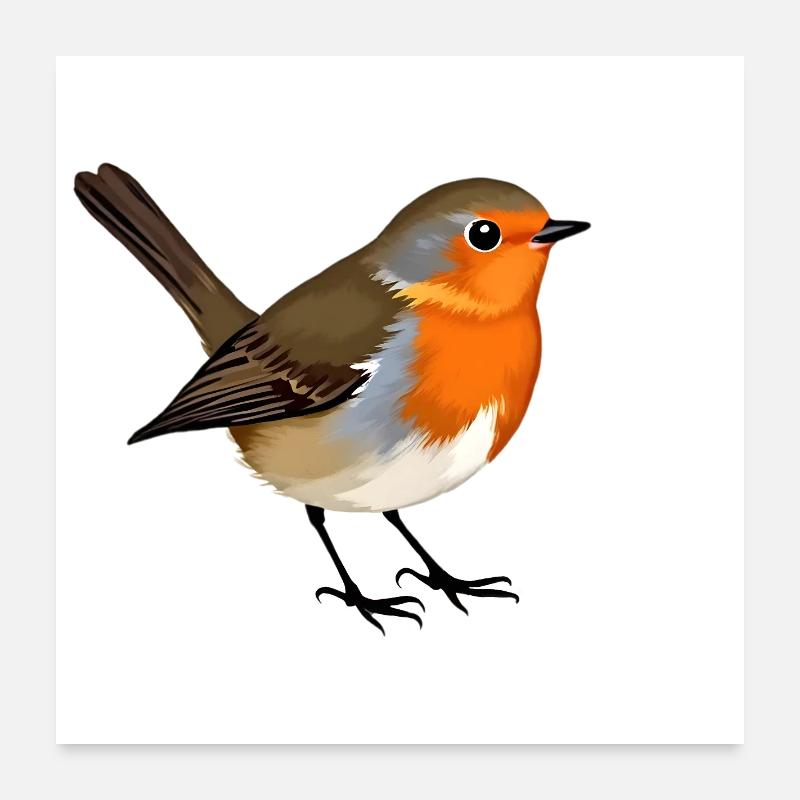 Rotkehlchen Vogel Poster 60x60 cm