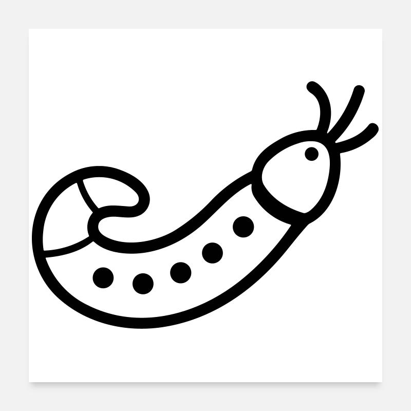 ver de terre Poster 60 x 60 cm