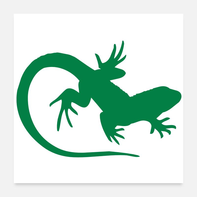 salamander Poster 60x60 cm