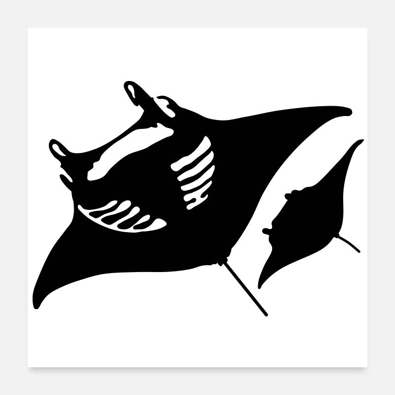 Teufelsrochen Poster 60x60 cm