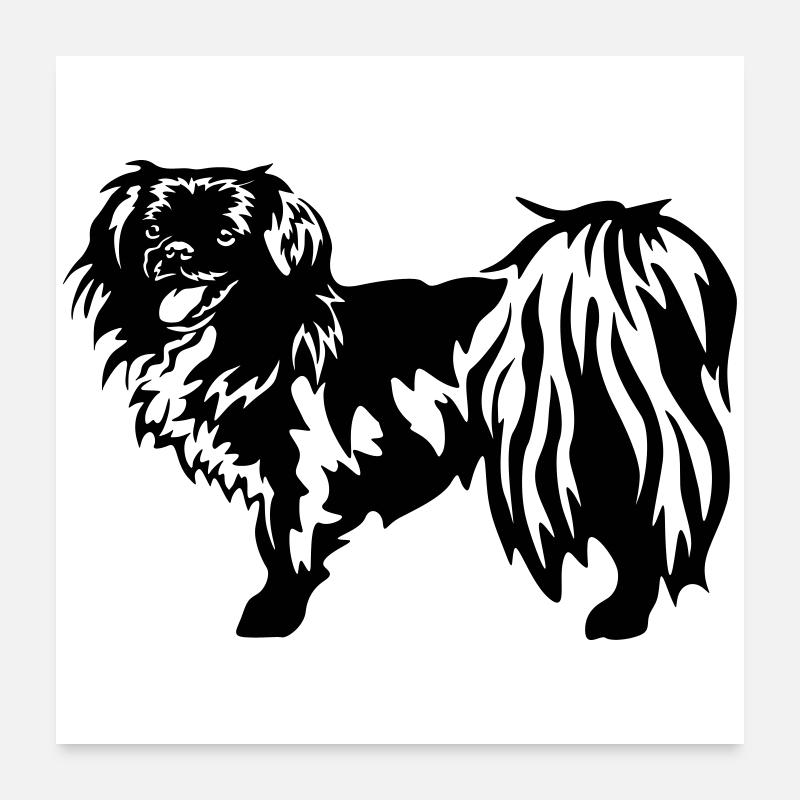 Tibet Spaniel - Poster 60x60 cm - Weiß