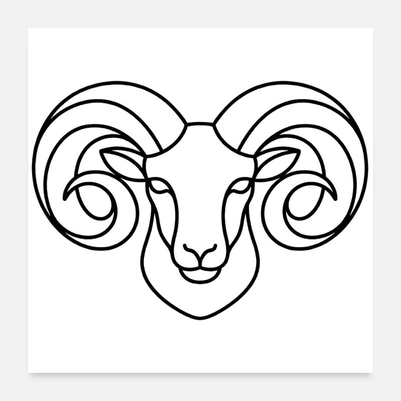Starker Widderkopf Poster 60x60 cm