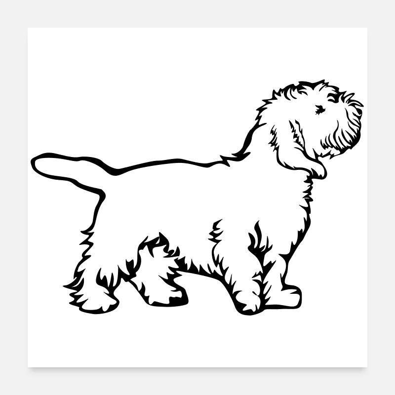 Petit Basset Griffon Vendéen Poster 60 x 60 cm