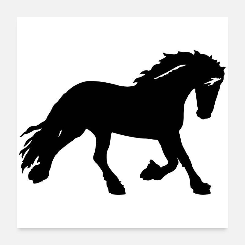 Pferd - Poster 60x60 cm - Weiß