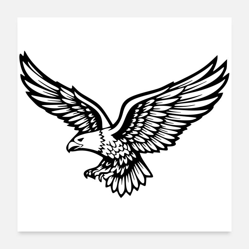 Adler Poster 60x60 cm