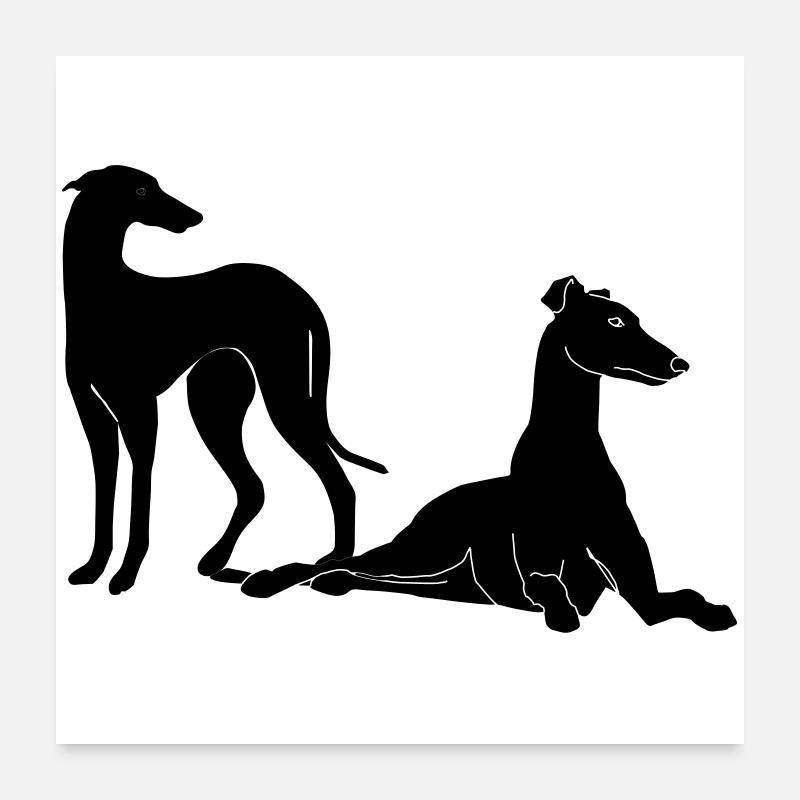 Gruppe Galgos Poster 60x60 cm