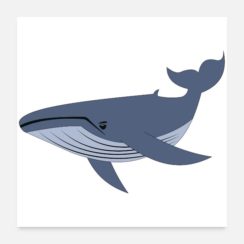 Baleine bleue, baleine Poster 60 x 60 cm