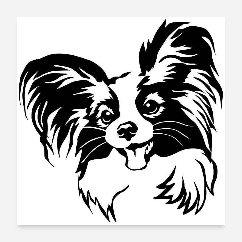 Papillon Kopf - Poster 60x60 cm - Weiß