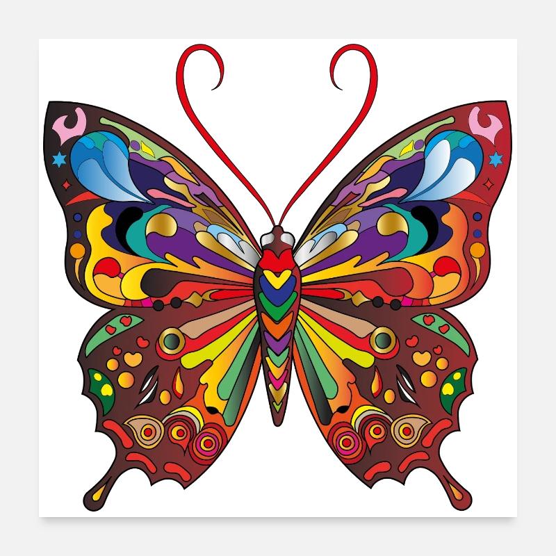 Le papillon coloré Poster 60 x 60 cm