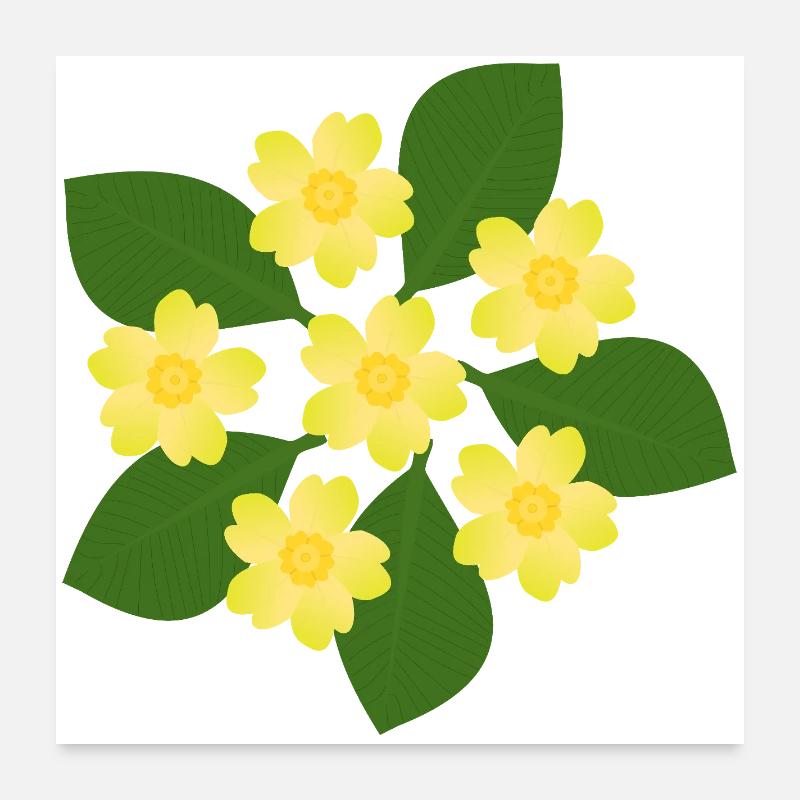 Février, Fleurs de naissance, primevères d’anniversaire, fleur d’anniversaire Poster 60 x 60 cm