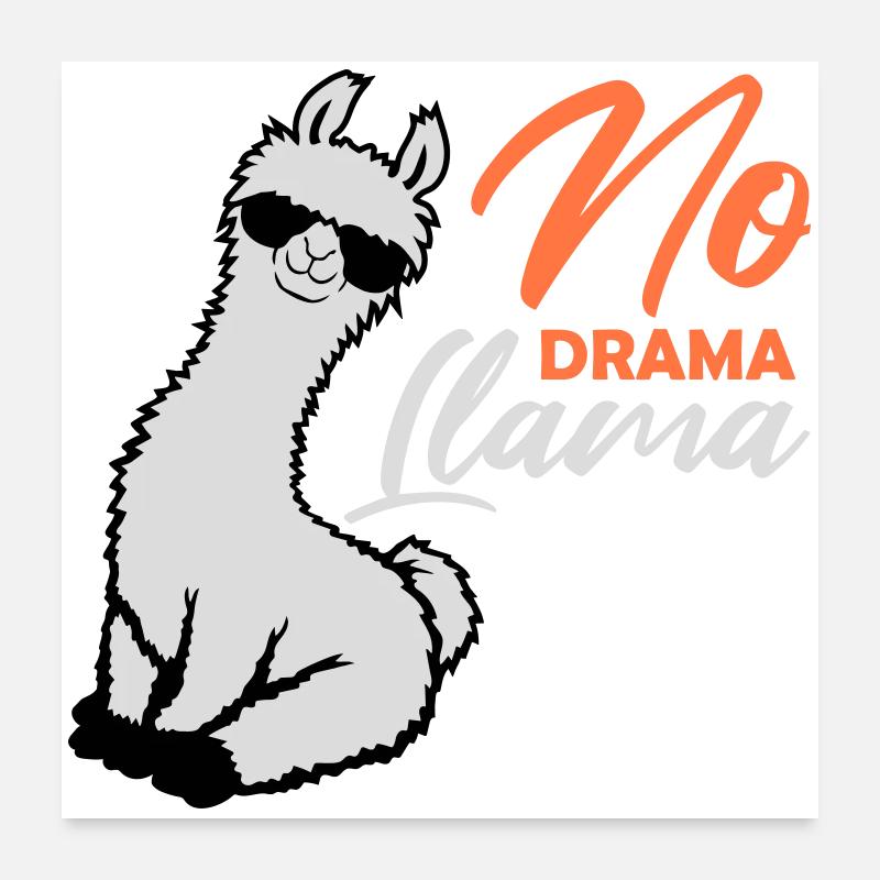 Pas de drame Lama Lunettes de soleil cool assis détendu Poster 60 x 60 cm