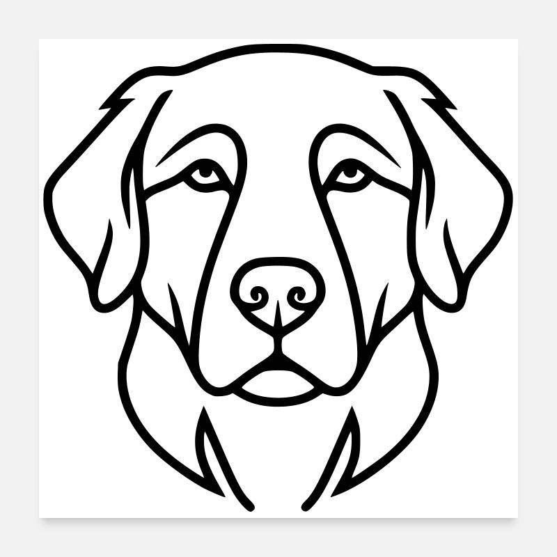 Profil de tête de chien labrador Poster 60 x 60 cm