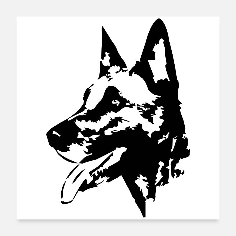 Tête malinoise Poster 60 x 60 cm