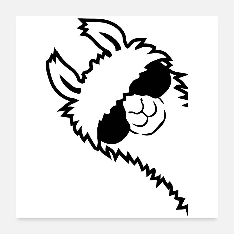 L'alpaga regarde de côté Poster 60 x 60 cm