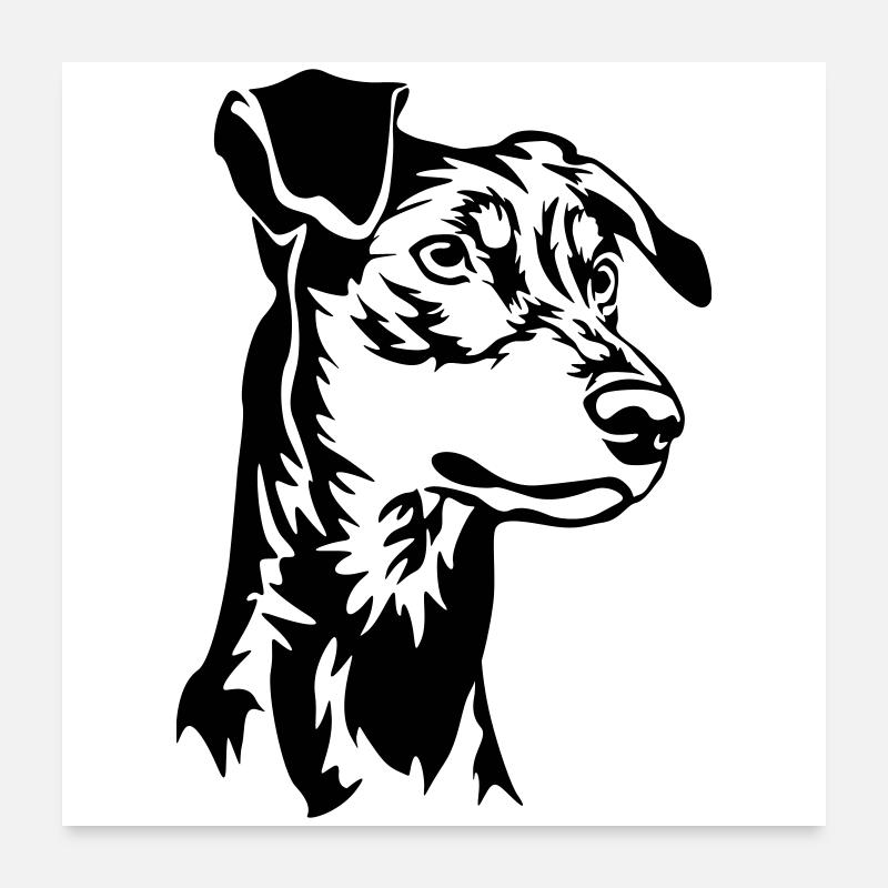German pinscher head Poster 24" x 24" (60x60 cm)