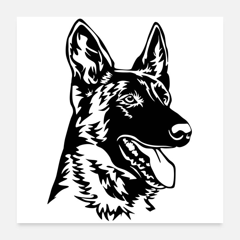 Hollandse Herder Kopf Poster 60x60 cm