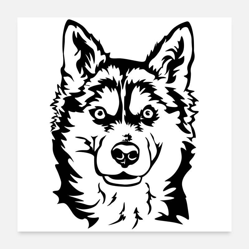 Husky Head Poster 24" x 24" (60x60 cm)