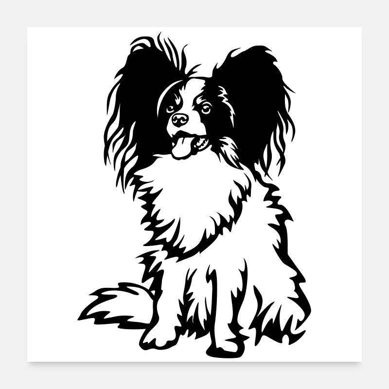 Papillon Poster 24" x 24" (60x60 cm)