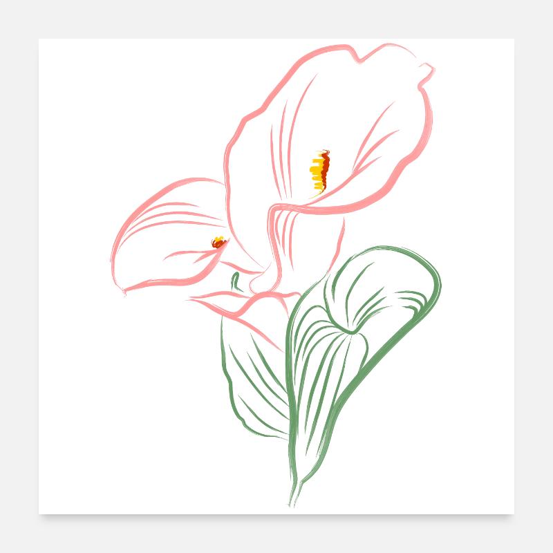 CALLA SoftPink - Poster 60 x 60 cm - blanc