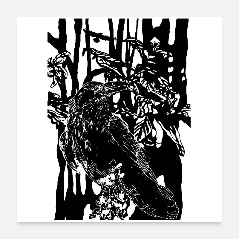 Rabe - Poster 60x60 cm - Weiß