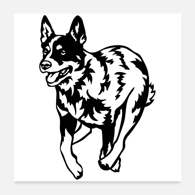 Australian Cattle Dog Poster 24" x 24" (60x60 cm)