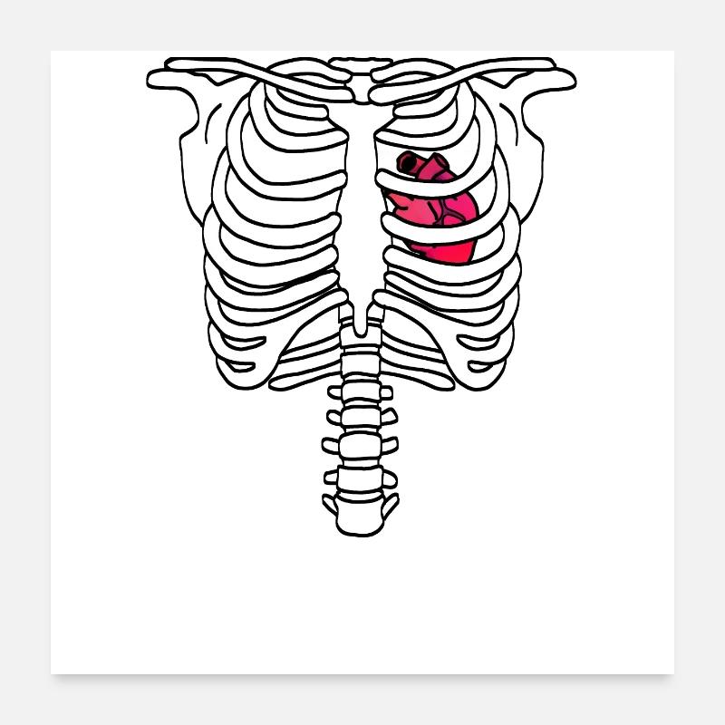 Cage thoracique squelette avec cœur Poster 60 x 60 cm