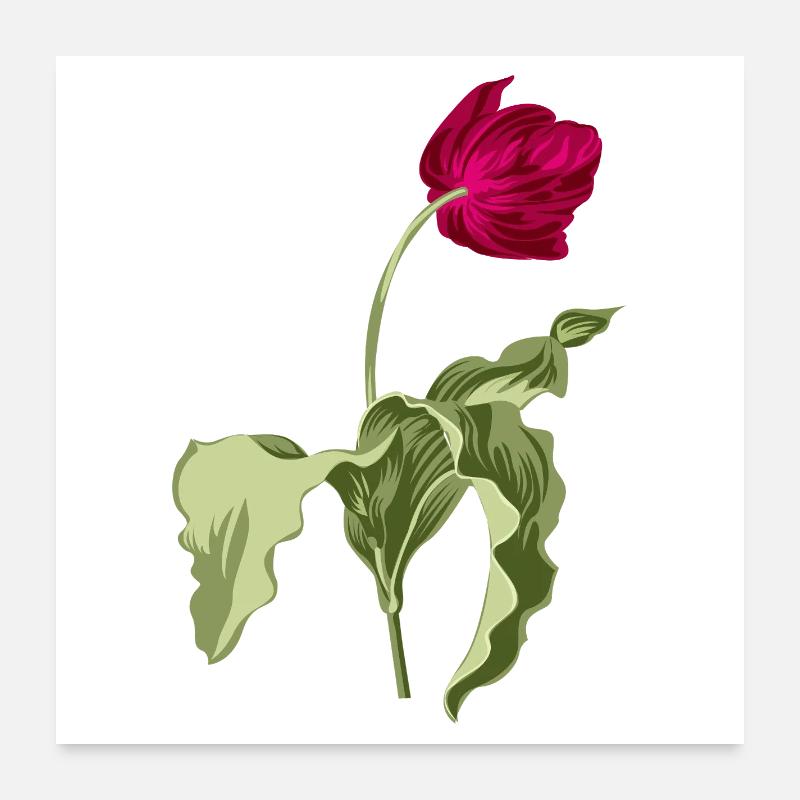 Illustration de tulipe élégante Poster 60 x 60 cm