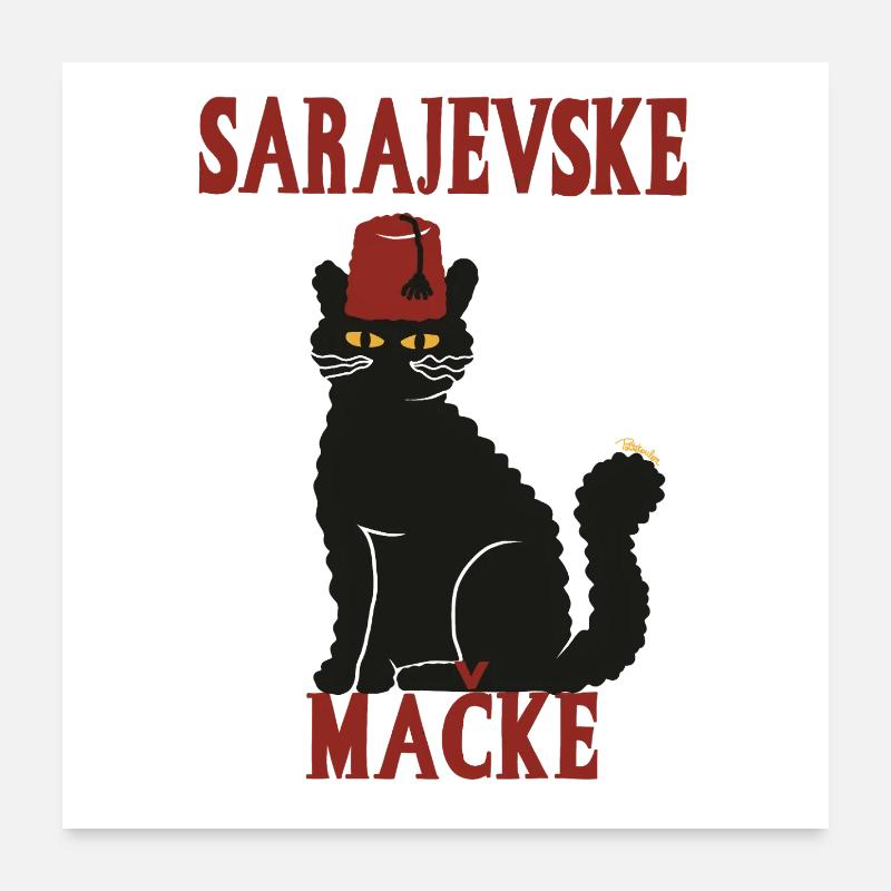 Chat Sarajevo Fez - Poster 60 x 60 cm - blanc