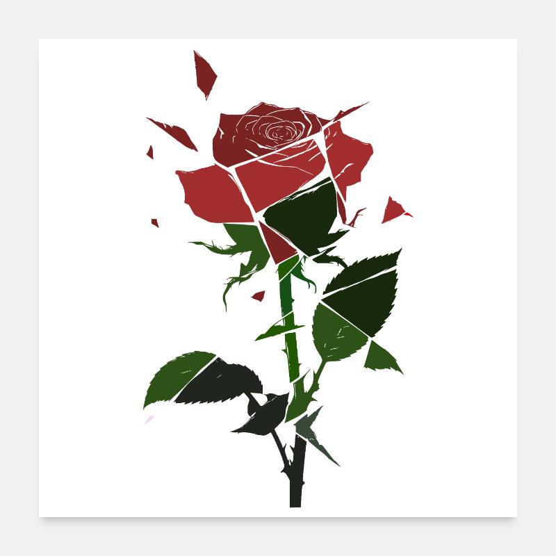 Zerbrochene Rosen-Blüte  Poster 60x60 cm