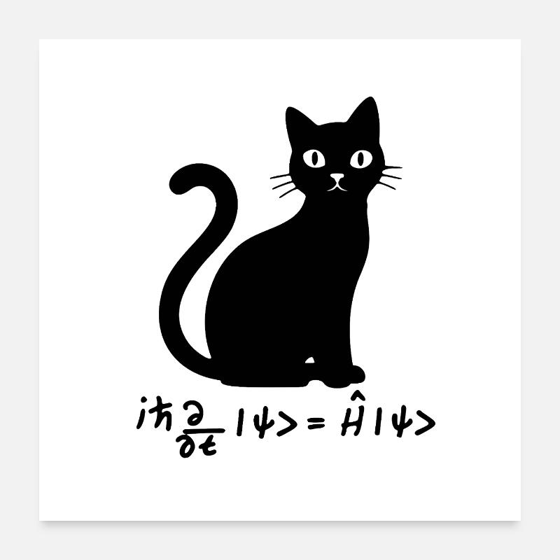 Schödinger's equation Poster 24" x 24" (60x60 cm)