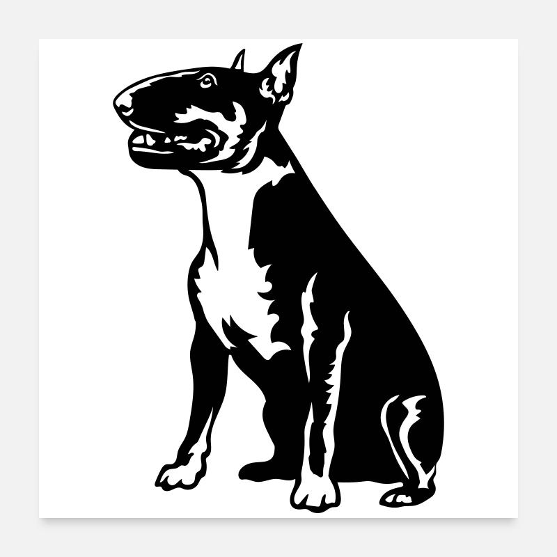 Bullterrier Poster 60x60 cm