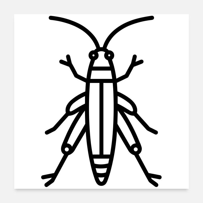Heuschrecke Poster 60x60 cm