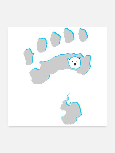 Eisbär 8 - Poster 60x60 cm - Weiß - Vorne